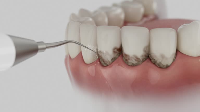 Reliable Dental contractor in Pembroke, GA by Dentist Open Now